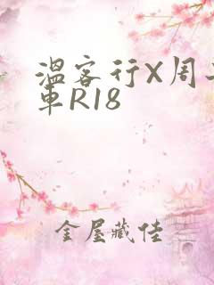 温客行X周子舒车R18