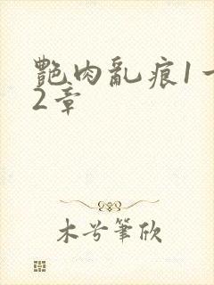 艳肉乱痕1一12章