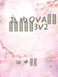 熟肉OVAちゃんはしたい3V2