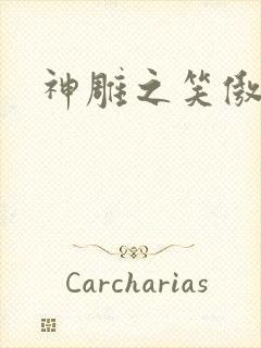 神雕之笑傲天下