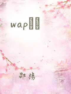 wapС˵
