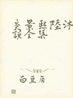 炎景熙陆沐擎小说全集