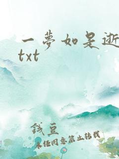 一梦如是逝水长txt