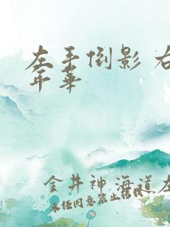 左手倒影 右手年华