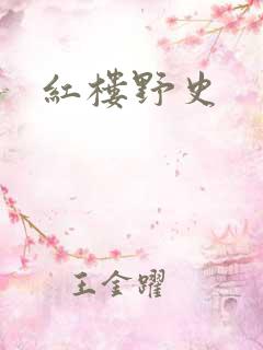 红楼野史