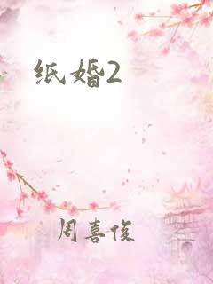 纸婚2