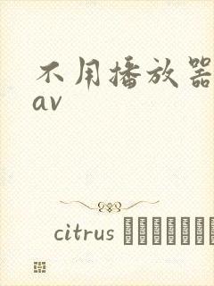 不用播放器的gav