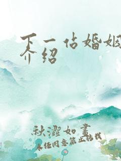 下一站婚姻剧情介绍