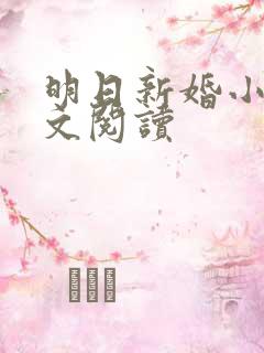 明日新婚小说全文阅读