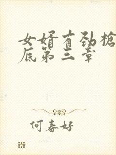 女婿有劲枪枪到底第三章