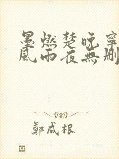 墨燃楚晚宁痴缠风雨夜无删减