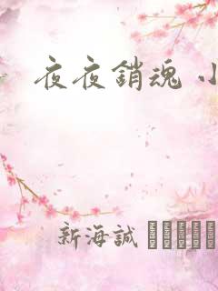 夜夜销魂 小说