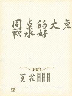 同桌的大兔子好软水好