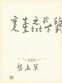 重生之我的书记人生txt下载