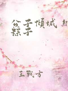 公子倾城 维和粽子