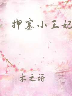 押寨小王妃