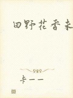 田野花香未删节