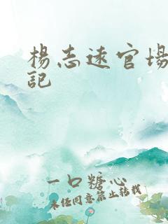 杨志远官场飙升记