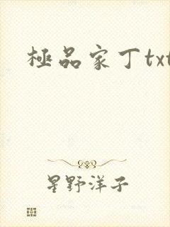 极品家丁txt