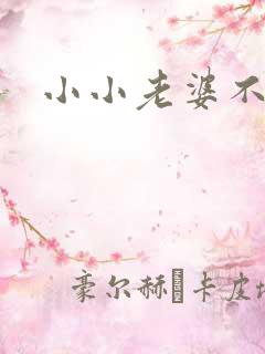 小小老婆不受宠