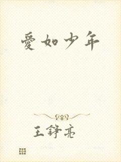 爱如少年