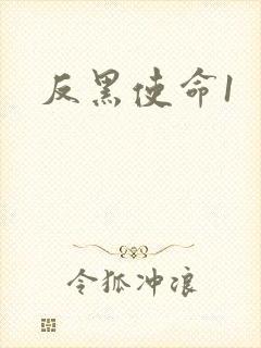 反黑使命1