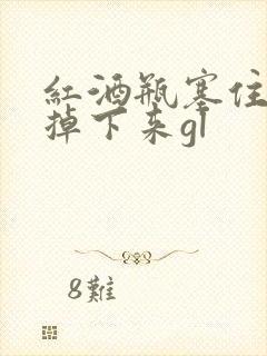 红酒瓶塞住不准掉下来gl