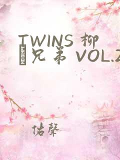 TWINS 柳澤兄弟 VOL.2