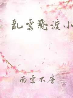 乱云飞渡小说