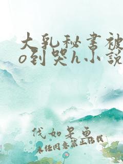 大乳秘书被cao到哭h小说