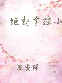 绝对掌控小说