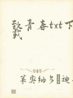 致青春txt下载