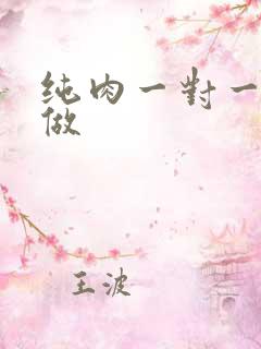 纯肉一对一到处做