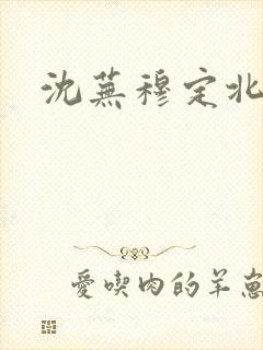 沈芜穆定北小说