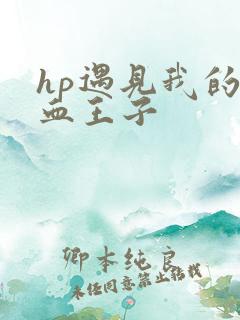 hp遇见我的混血王子