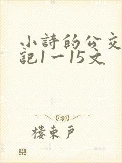 小诗的公交车日记1一15文