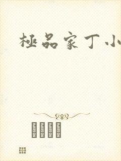 极品家丁小说