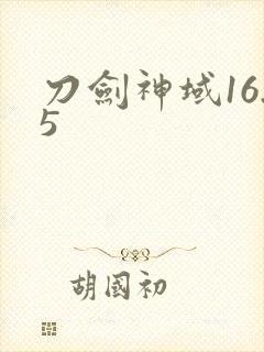 刀剑神域16.5