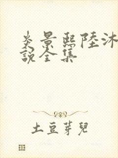 炎景熙陆沐擎小说全集