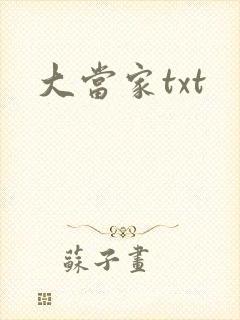 大当家txt