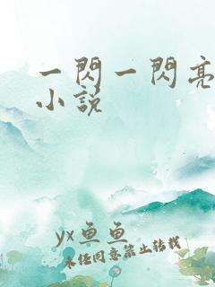 一闪一闪亮星星小说