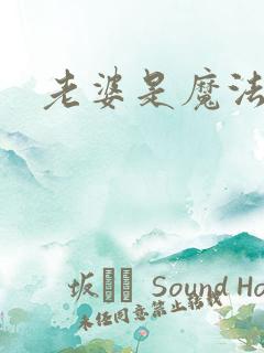 老婆是魔法少女