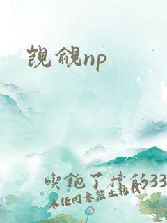 觊觎np
