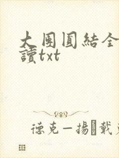 大团圆结全文阅读txt