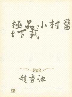 极品小村医txt下载