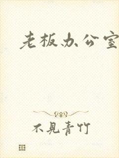 老板办公室调数