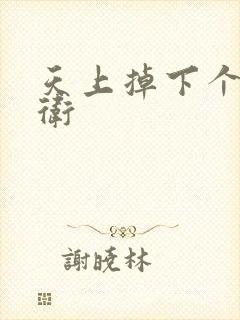 天上掉下个影卫卫