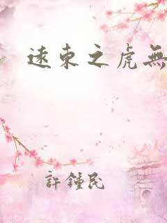 远东之虎无弹窗