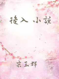 后入 小说