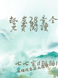 抓灰28章全部免费阅读